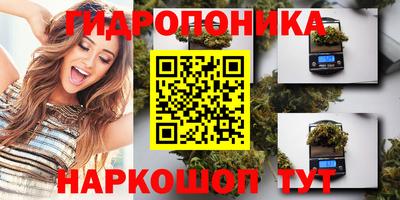 PSILOCYBIN Канаш
